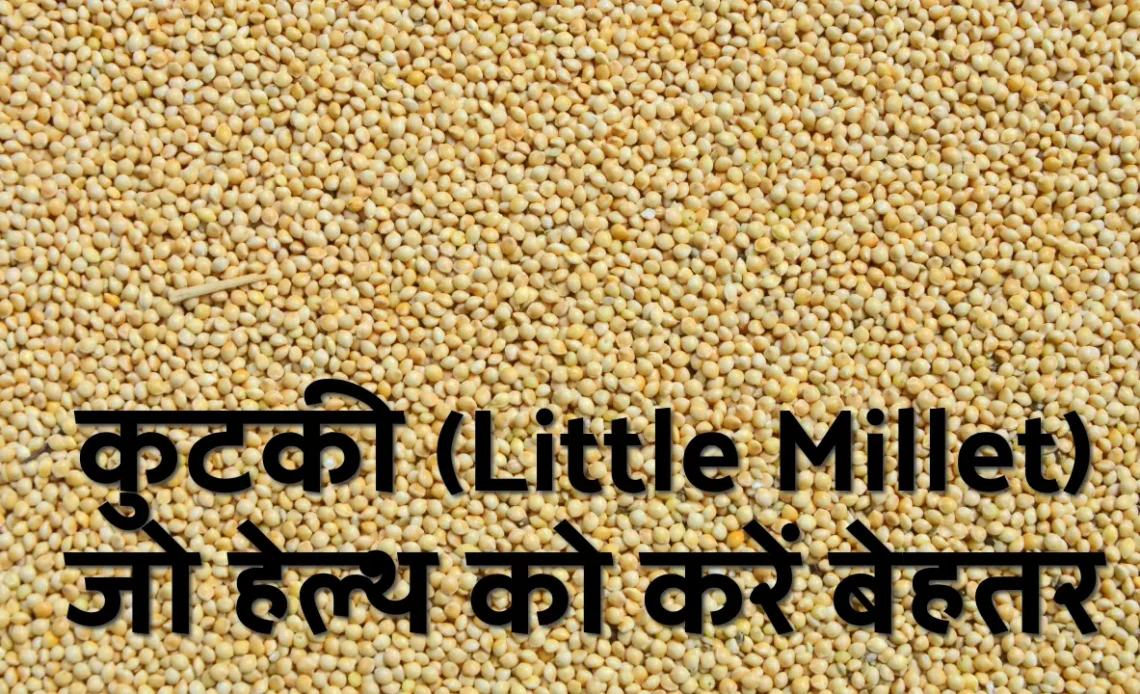 Little Millet in Hindi
