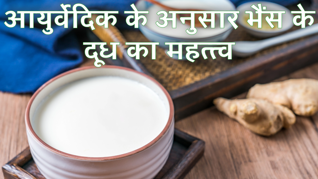Importance of Buffalo Milk According to Ayurveda